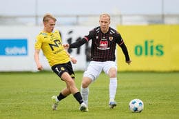 Fallegt mark í Vestmannaeyjum